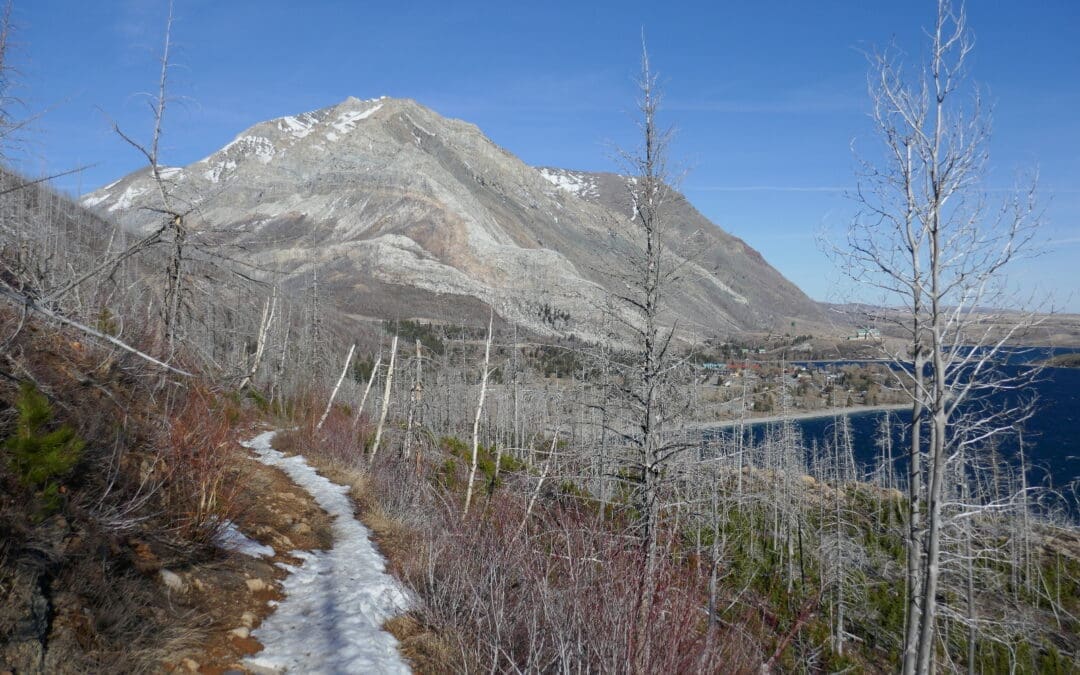 Hike or Ski – Your choice in Alberta