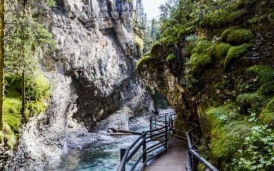 Histoire du Sentier national de randonnée pédestre du Canada – Colombie-Britannique