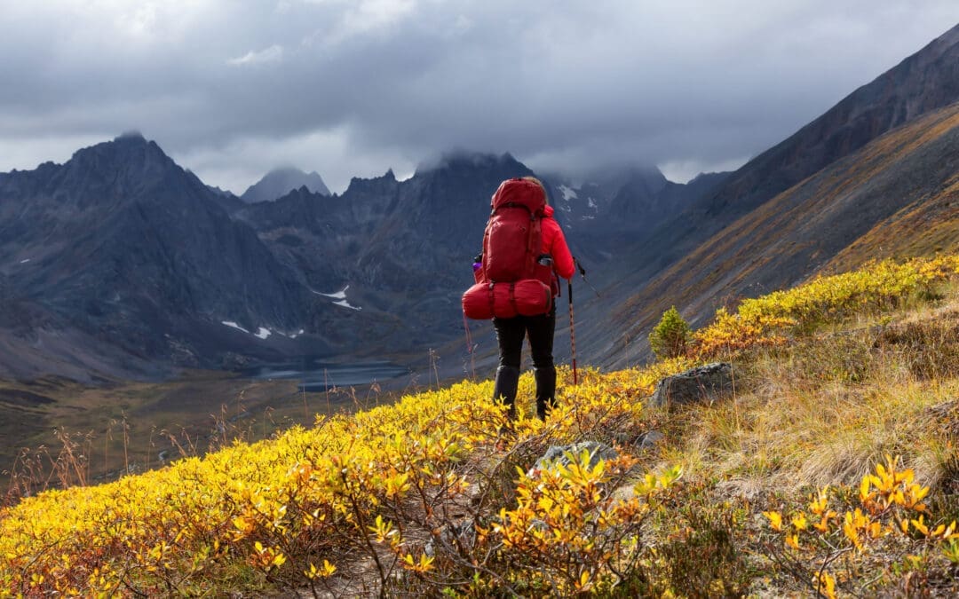 COMMUNIQUÉ DE PRESSE