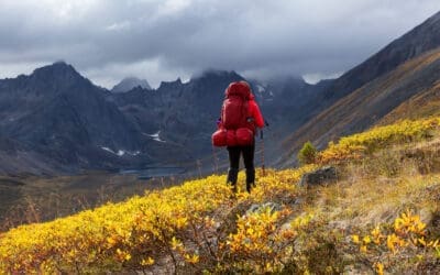 COMMUNIQUÉ DE PRESSE
