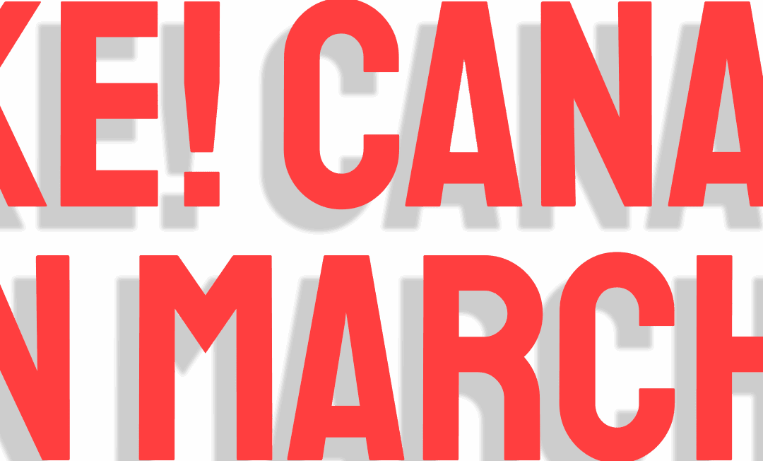 Bilan de l’année 2024 de Hike Canada en Marche